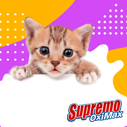 Beneficio de las mascotas