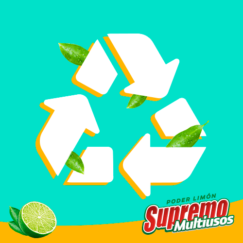 Reciclar en casa